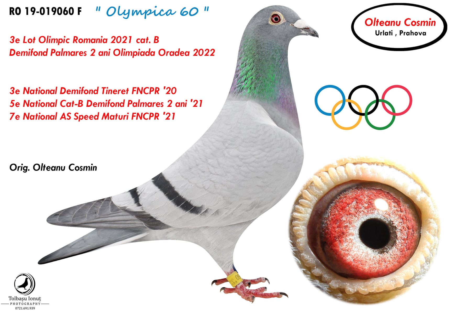 4.RO-25-642215 F ♀ Nepoata OLYMPIC INEU Slaniceanu Viorel 3e Lot Olympic Cat.G Oradea 2022 - imagine 5