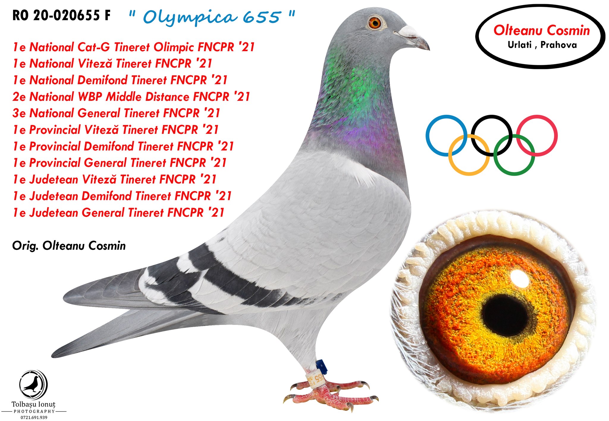 4.RO-25-642215 F ♀ Nepoata OLYMPIC INEU Slaniceanu Viorel 3e Lot Olympic Cat.G Oradea 2022 - imagine 4