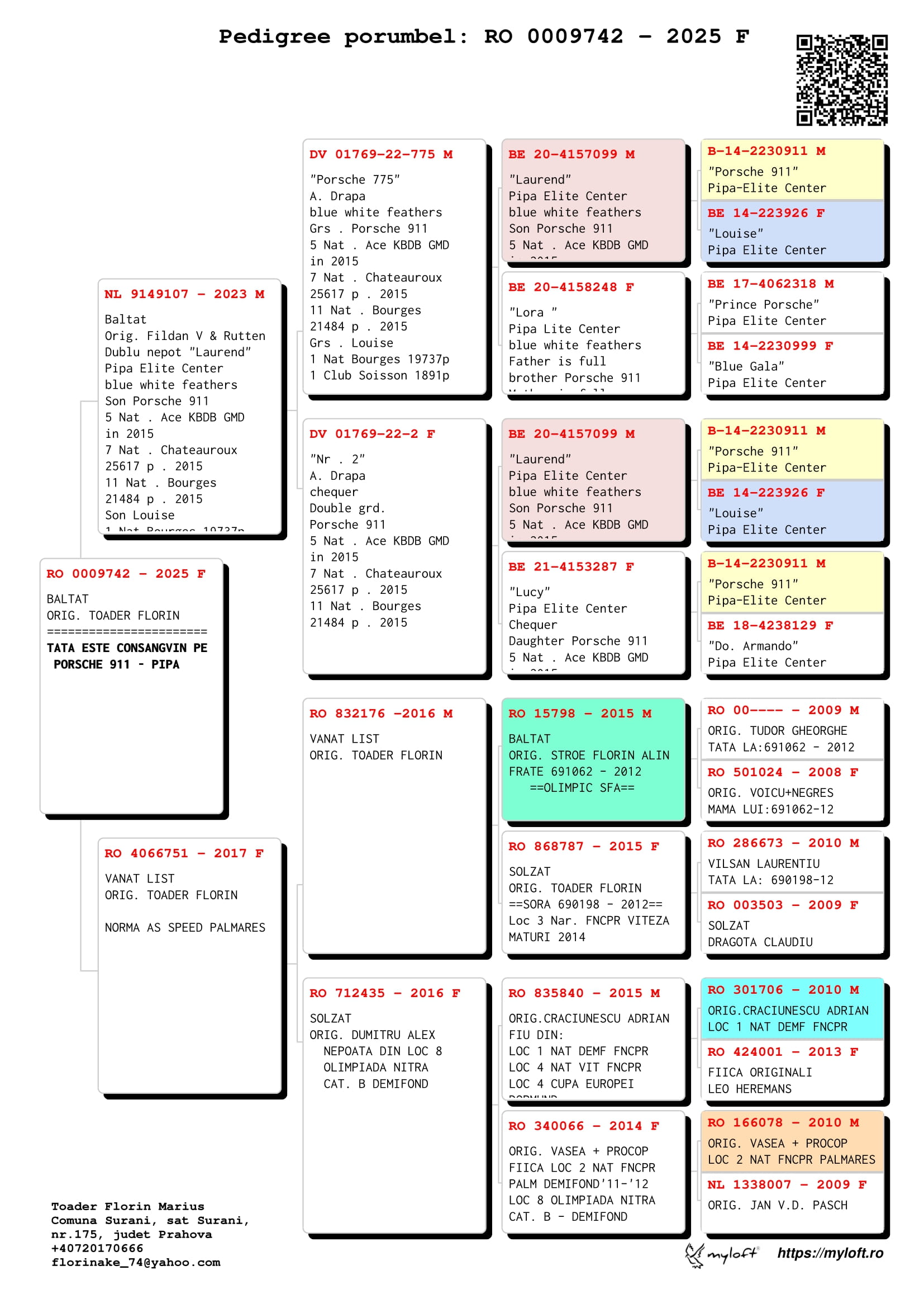 3.RO-25-009742 F ♀ Consangvina Porsche 911 Pipa Elite Center 5. Nat. acebird KBDB gr. middle dist. YL 2015 7. Nat. - imagine 2