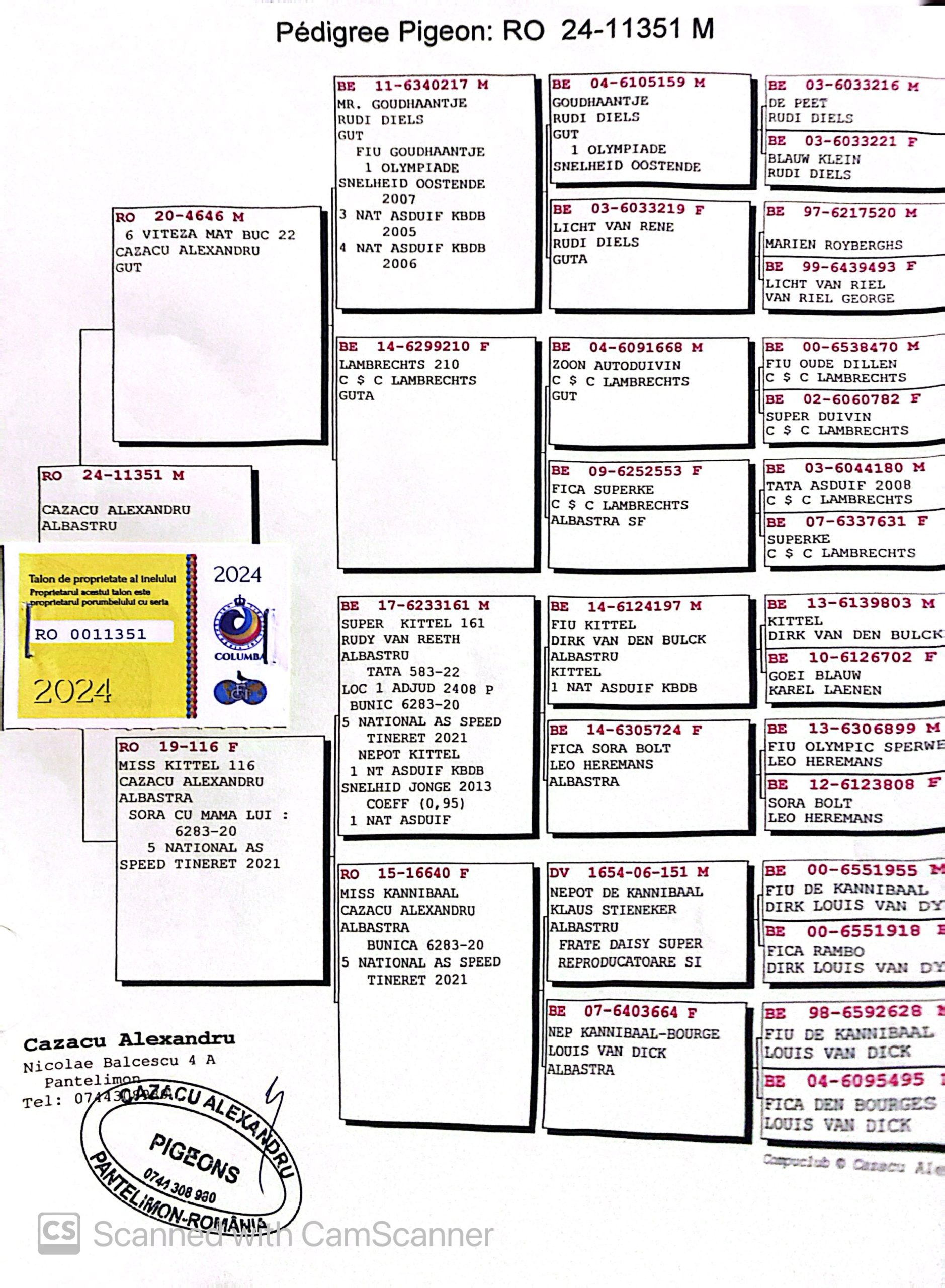 7.RO-25-11351 M ♂ Rudy Diels - Lambrechts - Dirk van den Bulck Fiu din 4646-20 Cazacu Alexandru 6e Viteză Bucuresti Maturi 2022 - imagine 2