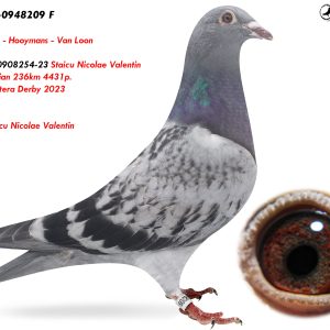 3.RO-25-0948209 F ♀ Fiică din 0908254-23 Staicu Nicolae Valentin  Loc 1 Troian 236km 4431p.