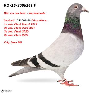 RO-25-2006261 F ♀ Semisoră 1022002-18 Crisan Mircea  1e Jud. Viteză Tineret 2019 2e Jud. Viteză 2 ani 2021