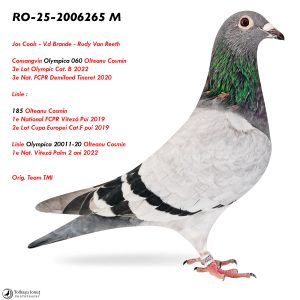 9.RO-25-2006265 M ♂ Consangvin Olympica 060   3e Lot Olympic Cat. B 2022 3e Nat. FCPR Demifond Tineret 2020