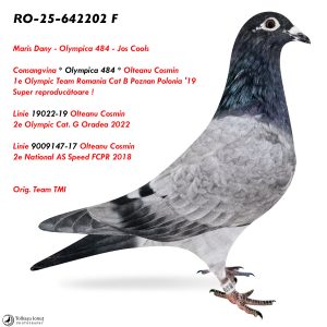 5.RO-25-642202 F ♀ Consangvina * Olympica 484 *  1e Olympic Team Romania Cat B Poznan Polonia '19