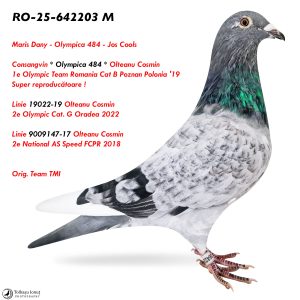 3.RO-25-642203 M ♂  Consangvin * Olympica 484 *   1e Olympic Team Romania Cat B Poznan Polonia '19