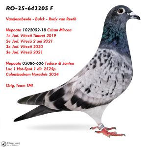 6.RO-25-642205 F ♀ Nepoata 002-18 Crisan Mircea  1e Jud. Viteză Tineret 2019 2e Jud. Viteză 2 ani 3e Jud. Viteză 20