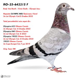 4.RO-25-642215 F ♀ Nepoata OLYMPIC INEU Slaniceanu Viorel  3e Lot Olympic Cat.G Oradea 2022