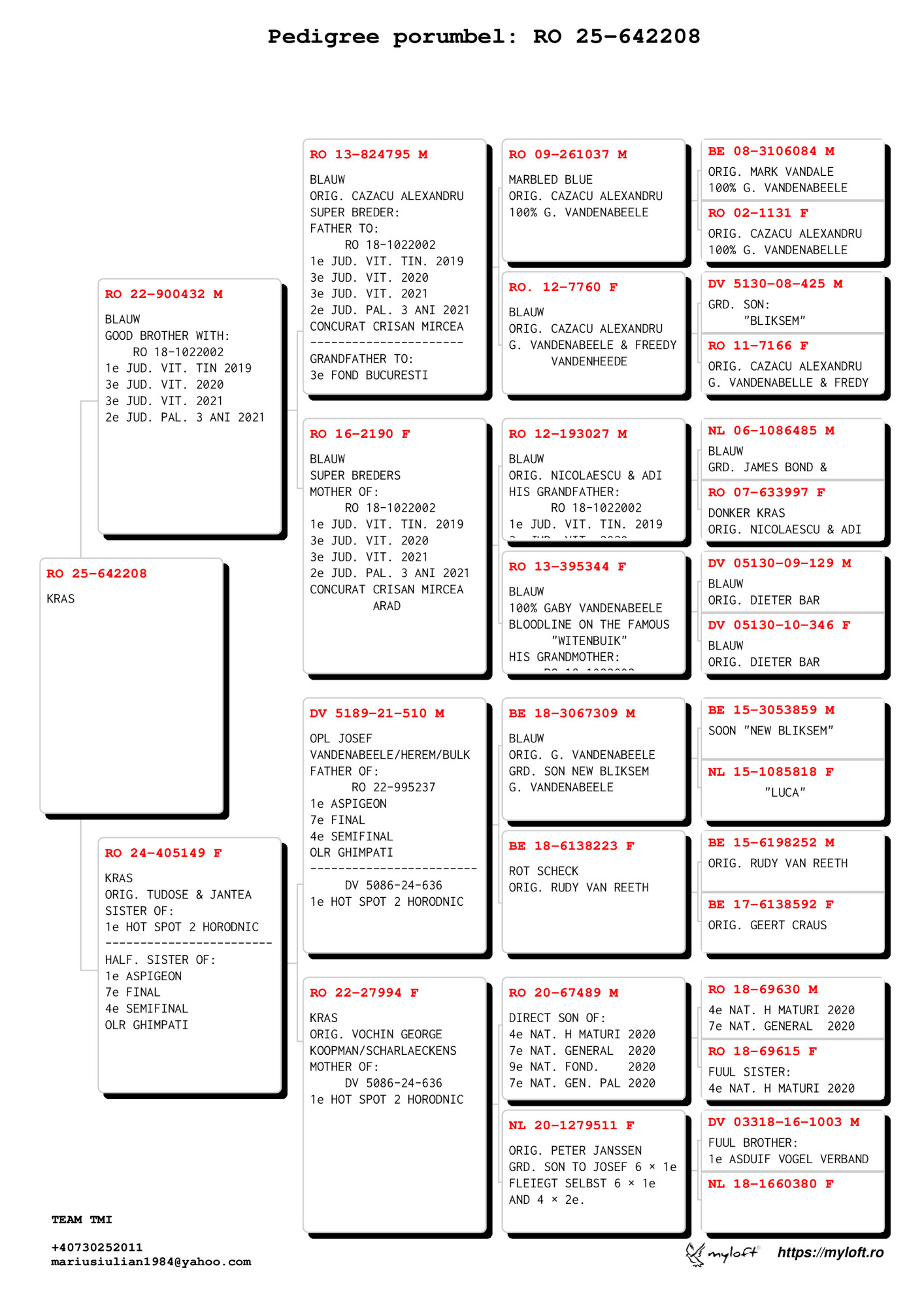 8.RO-25-642208 M ♂ Vandenabeele - Bulck - Rudy van Reeth Nepot 02-18 1e Jud. Viteză Tineret 2019 - imagine 2