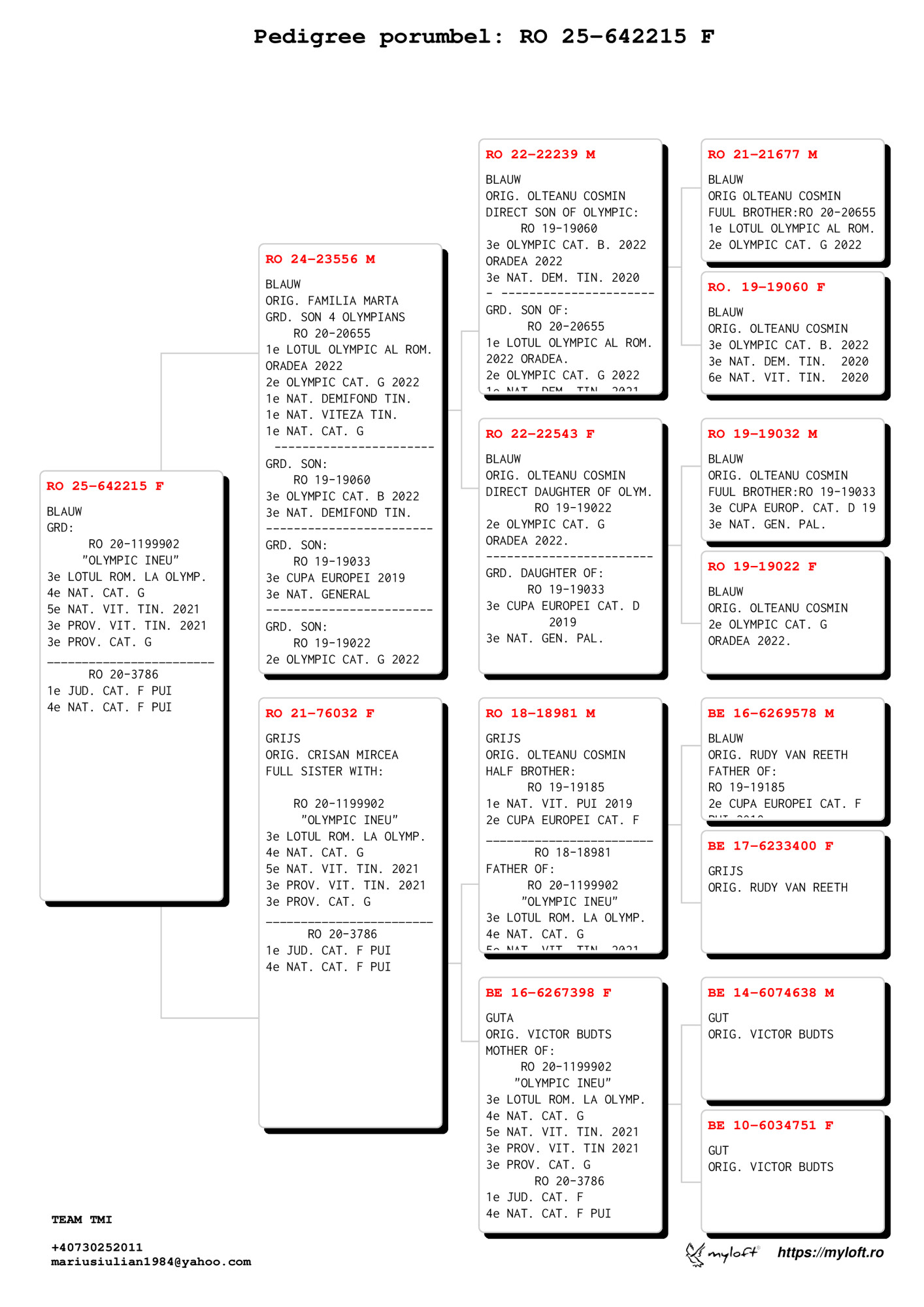 4.RO-25-642215 F ♀ Nepoata OLYMPIC INEU Slaniceanu Viorel 3e Lot Olympic Cat.G Oradea 2022 - imagine 2