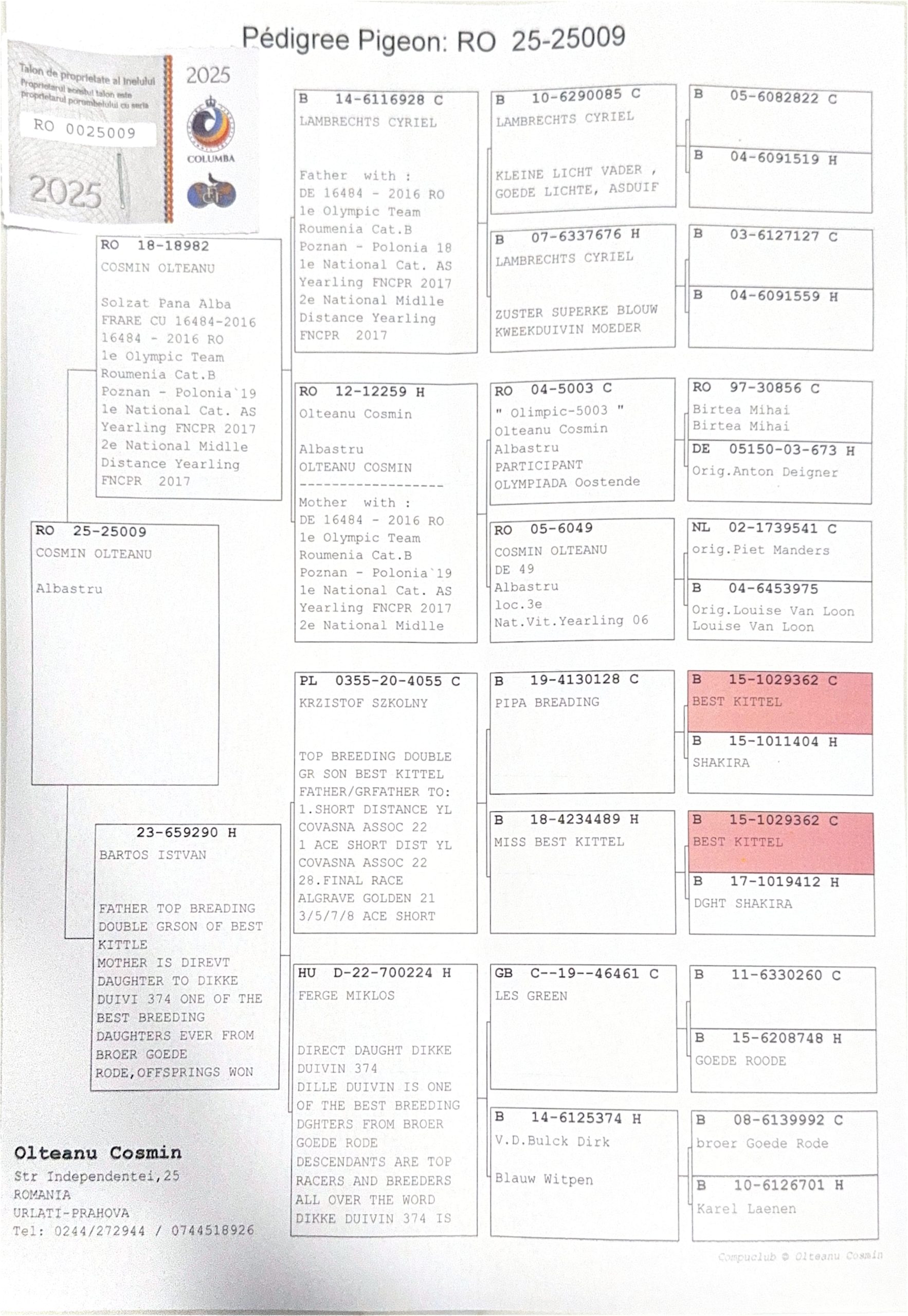 3.RO-25-25009 M ♂ Loc 6 Lovech 249km 1089p. 2025 , Loc 8 Lovech 249km 3239p. 2025 , etc Nepot Olympica 484 Linie BEST KITTEL - imagine 2