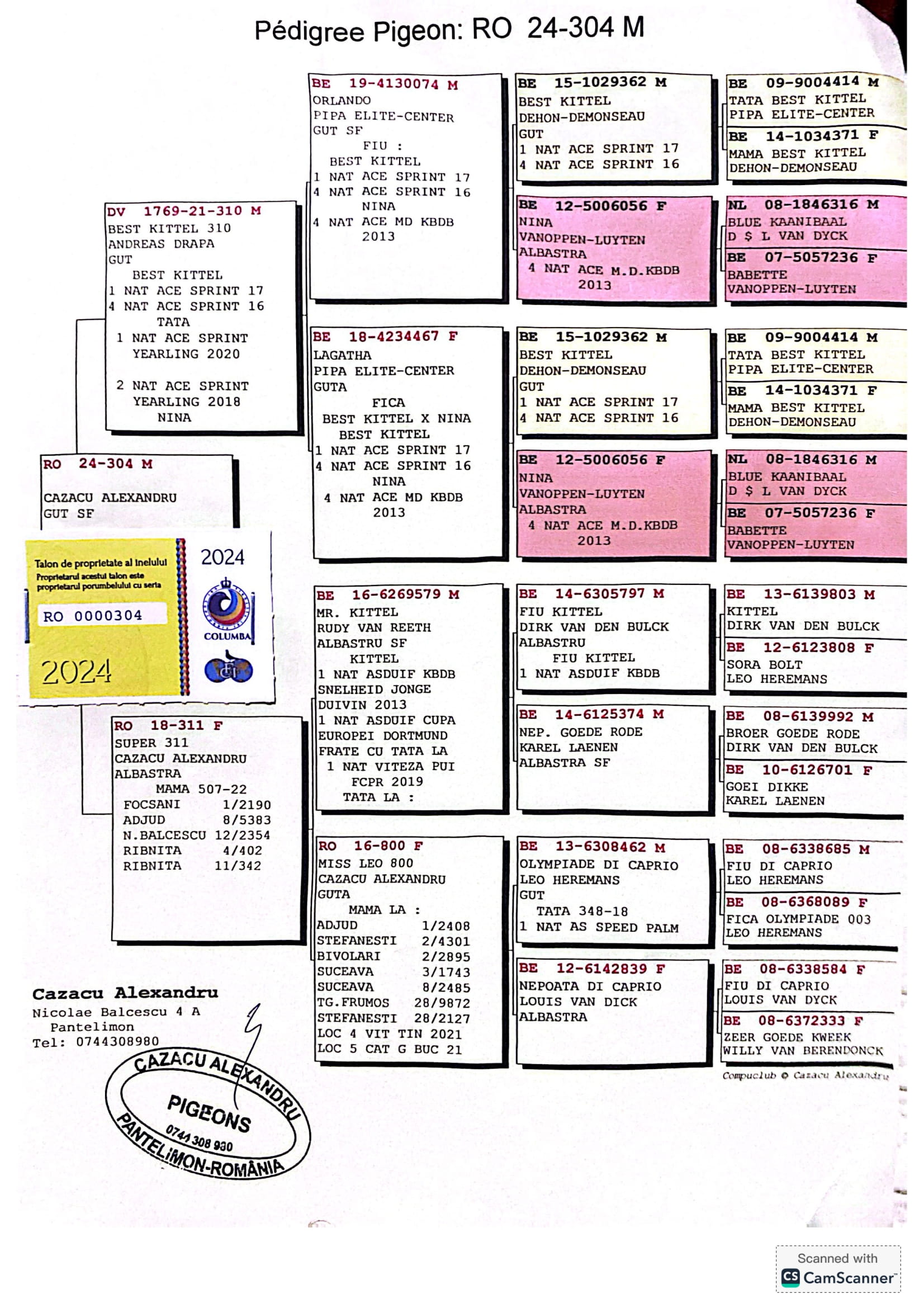 4.RO-24-304 M ♂ Tatal porumbelului este dublu nepot din : BEST KITTEL Dehon Demonseau 1e Nat. ACE KBDB Sprint 2017 Linie KITTEL - imagine 2