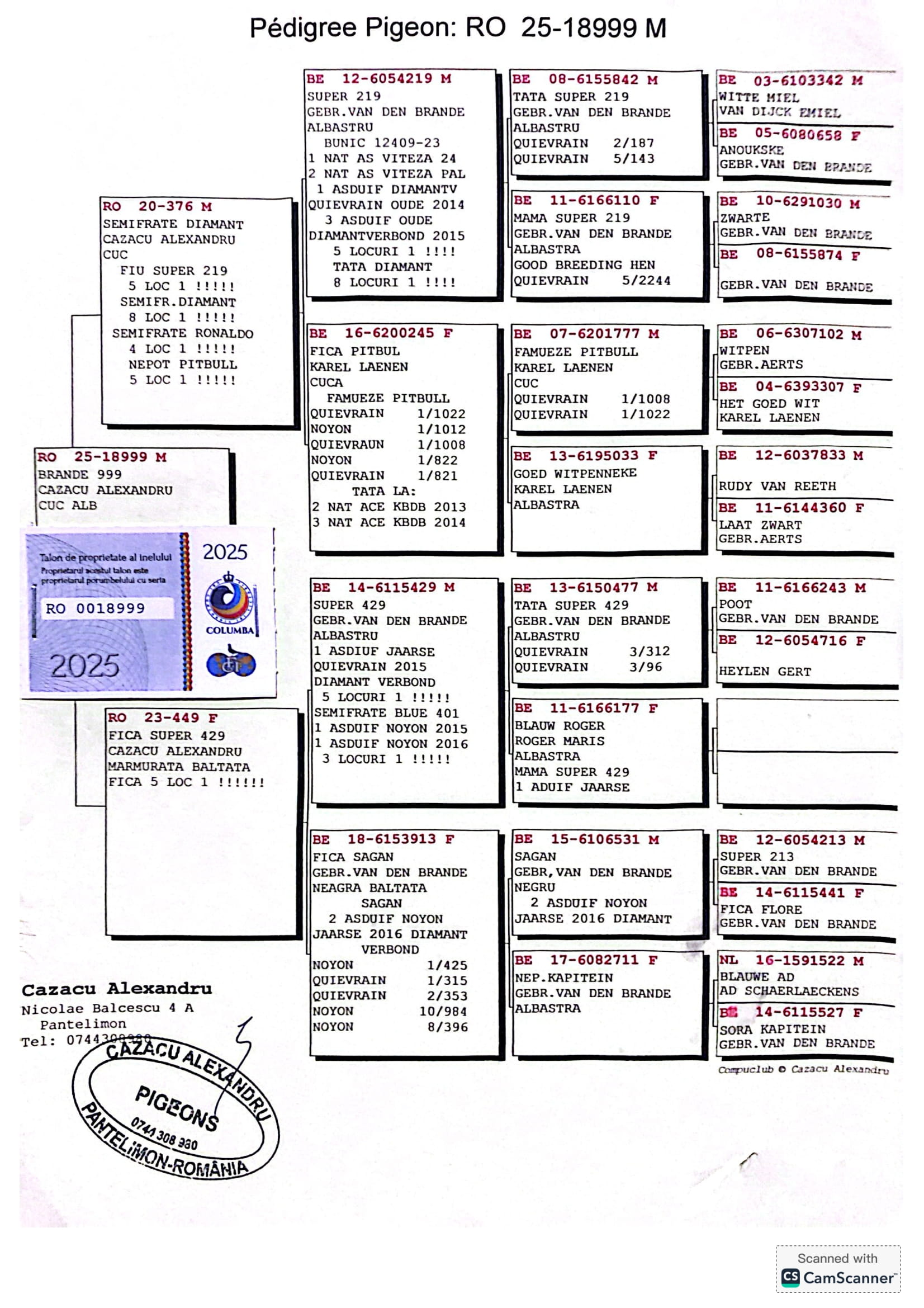 1.RO-25-18999 M ♂ Tatal porumbelului semifrate DIAMANT 8 locuri de 1 Van den Brande Gebr. 1e Ace Bird Quievrain 2017 1st Quievrain 221 p. - imagine 2