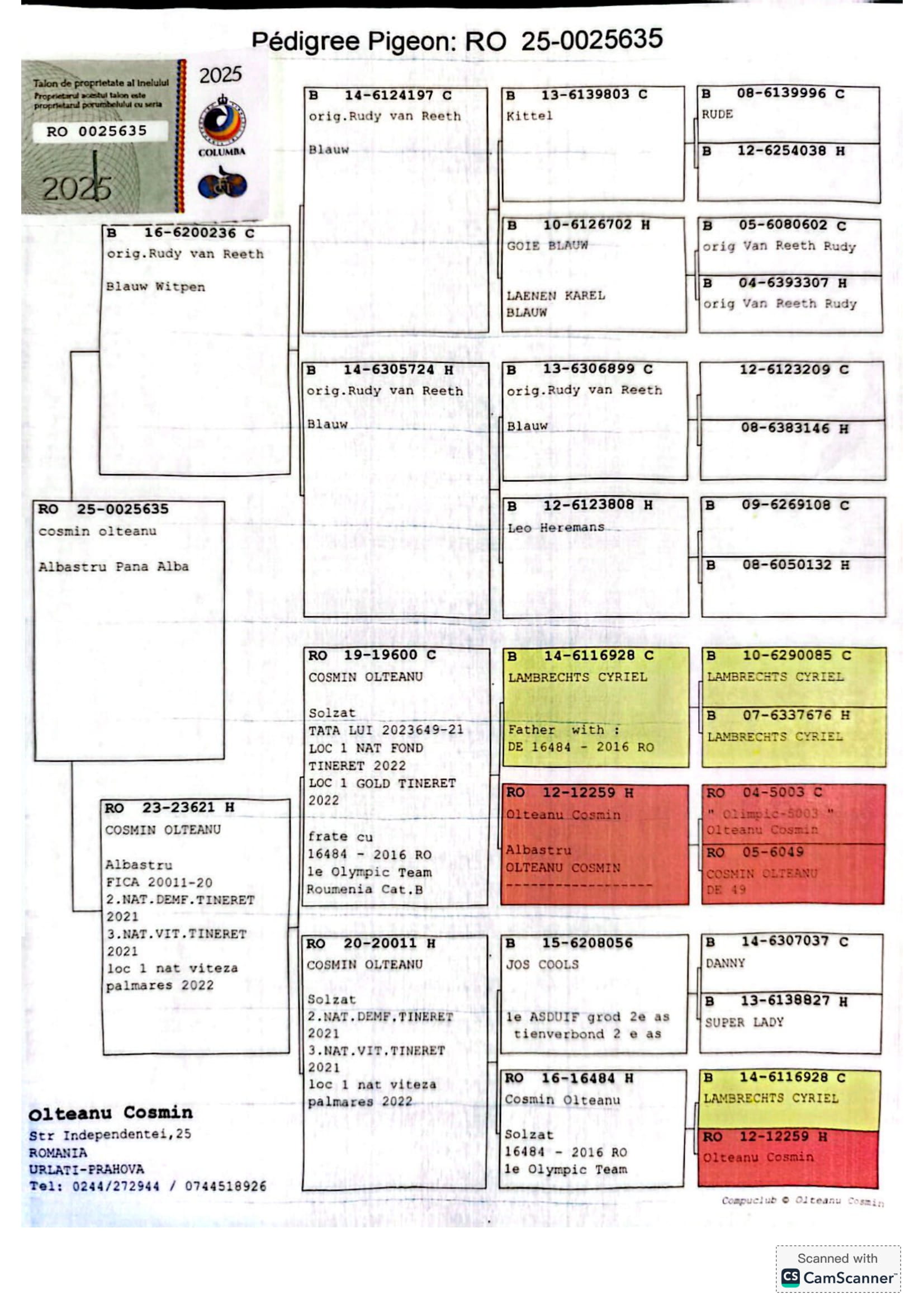 7.RO-25-25635 M ♂ Nepot * 020011-20 * Olteanu Cosmin 1e Lot Olympic Cat. A Viteză Palmares 2 ani 2022 1e National FCPR Viteză 2 ani - imagine 2
