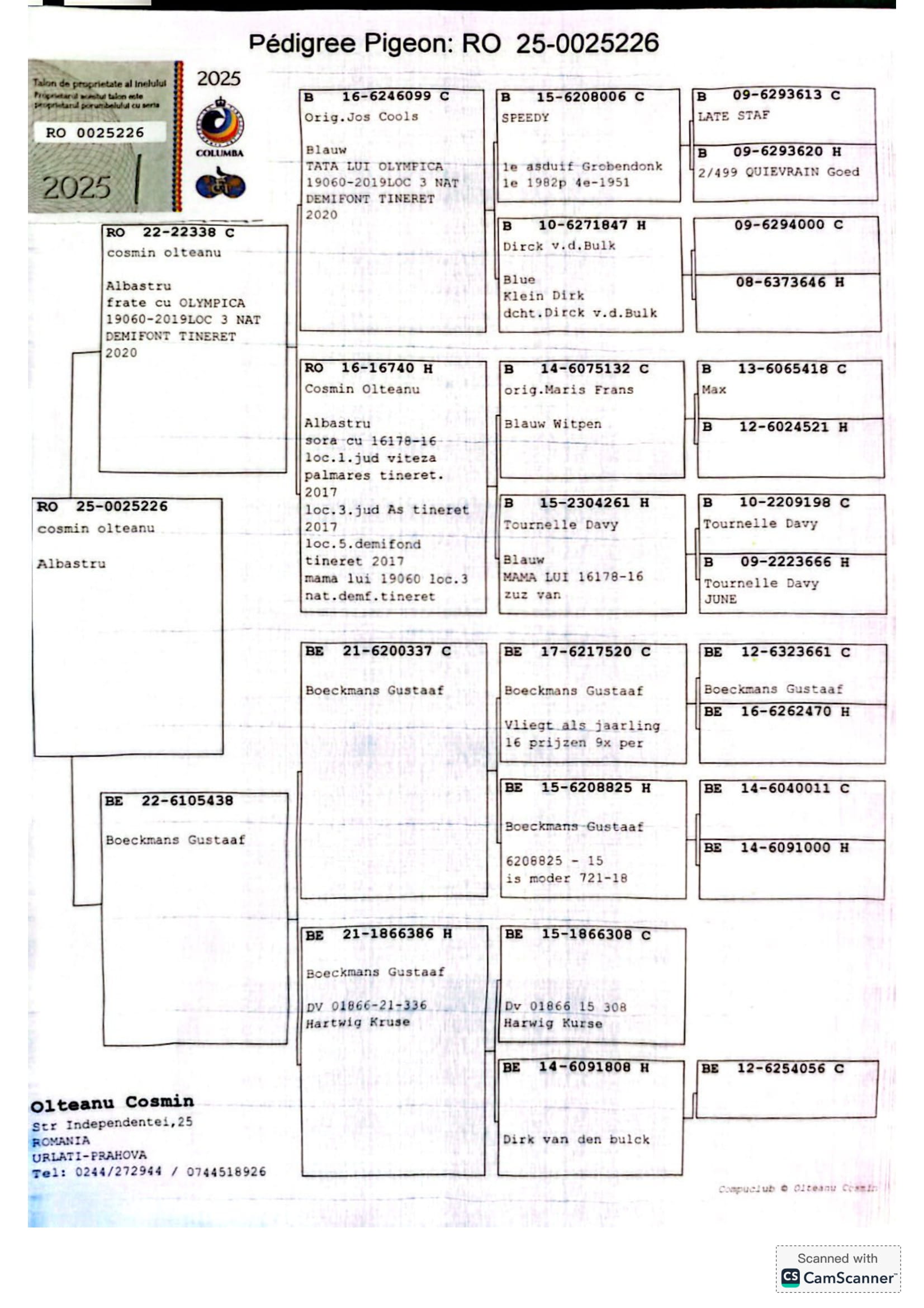 RO-25-25226 M ♂ Nepot Olympica 060 Olteanu Cosmin 3e Lot Olympic Romania 2021 Cat.B Demifond 2 ani Olympiada Oradea 2022 - imagine 2