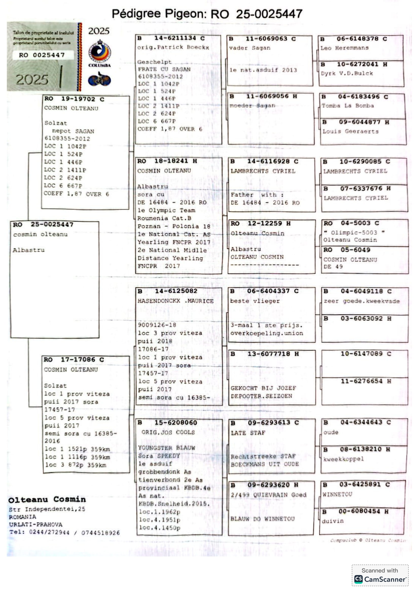 8.RO-25-25447 F ♀ Hasendonckx - Olympica 484 Fiică din 17086-17 Olteanu Cosmin 1e Prov. Viteză Pui 2017 Nepot Hasendonckx 082 - imagine 2