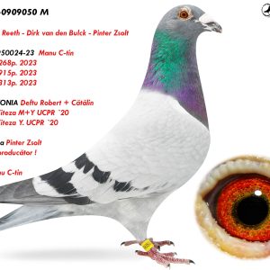 8.RO-24-0909050 M ♂ Rudy Van Reeth - Dirk van den Bulck - Pinter Zsolt   Fiu din 0950024-23  Manu C-tin  9e   /   8268p. 2023 20e /   6915p. 2023