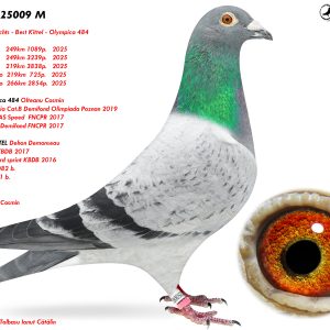 3.RO-25-25009 M ♂ Loc 6 Lovech      249km 1089p.   2025 , Loc 8 Lovech      249km 3239p.   2025 , etc Nepot Olympica 484 Linie BEST KITTEL