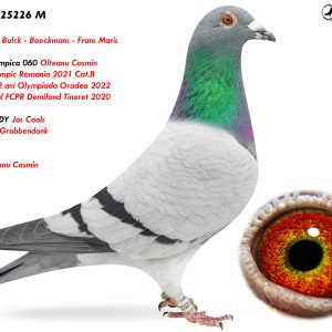 RO-25-25226 M ♂ Nepot Olympica 060 Olteanu Cosmin 3e Lot Olympic Romania 2021 Cat.B Demifond 2 ani Olympiada Oradea 2022