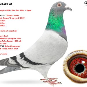 1.RO-25-25588 M ♂ Fiu din 020247-20 Olteanu Cosmin 2e Lot Olympic General 2 ani cat. D 2022 1 / 1541p. 162km 2 / 1418p. 202km