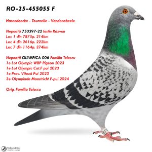 6.RO-25-455055 F ♀ Nepoată OLYMPICA 006 Familia Telescu  1e Lot Olympic WBP Pigeon 2023 Nepoată 750397-22 Iostin Răzvan   Loc 1 din 7875p. 214km
