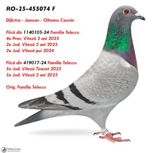 9.RO-25-455074 F ♀ Dijkstra - Janssen - Olteanu Cosmin   Fiică din 1140105-24 Familia Telescu  4e Prov. Viteză 2 ani 2025 2e Jud. Viteză 2 ani 2025