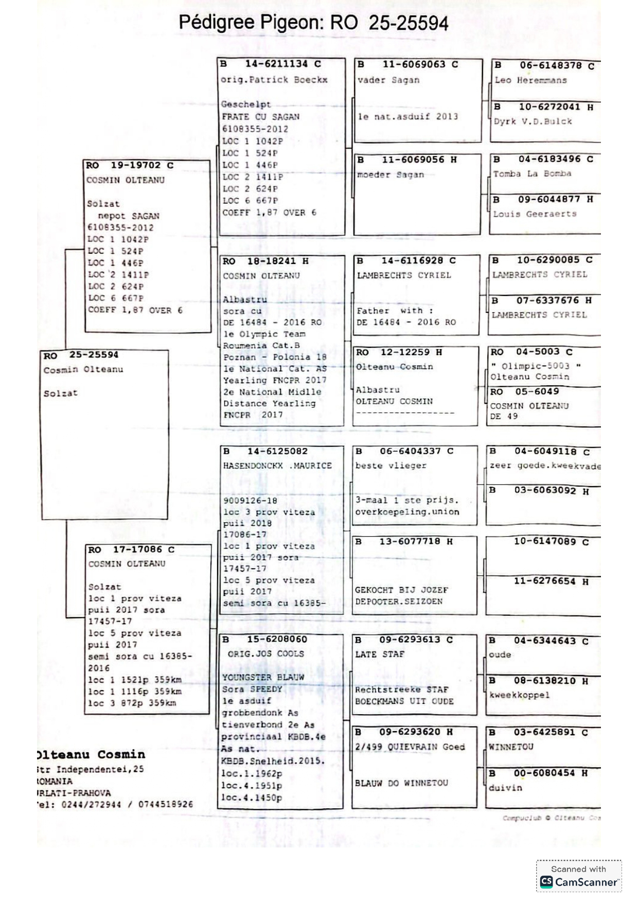 9.RO-25-25594 F ♀ Nepoata Hasendonckx 082 Olteanu Cosmin Super Reproducator !! Linie SPEEDY Jos Cools 1e AsDuif Grobbendonk - imagine 2