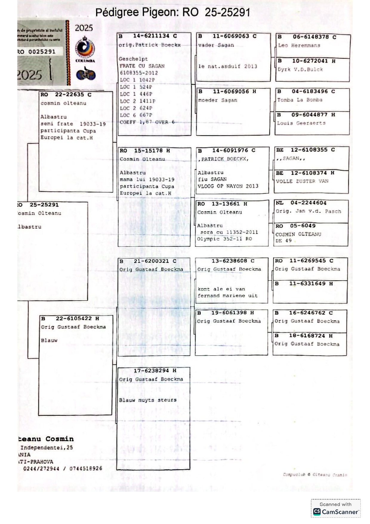 7.RO-25-25291 M ♂ Patrickx Boeckx - Boeckmans Tatal porumbelului este semifrate 19033-19 Participanta Olympiada Cat.H - imagine 2