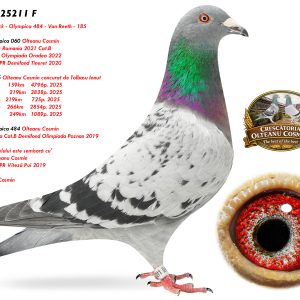 3.RO-25-25211 F ♀ Semisoră Olympica 060 Olteanu Cosmin 3e Lot Olympic Romania 2021 Cat.B Demifond 2 ani Olympiada Oradea 2022