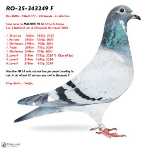 2.RO-25-343249 F ♀ Sora cu MACHINE PB 61 Stroe & Bartos Loc 3 National cat. A Olimpiada Dortmund 2026 6 x Locuri de 1