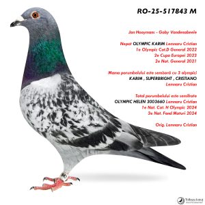 6.RO-25-517843 M ♂ Nepot OLYMPIC KARIM Lemnaru Cristian  1e Olympic Cat.D General 2022 2e Cupa Europei 2023 2e Nat. General 2021