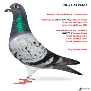 7.RO-25-517942 F ♀ Dubla nepoată CRISTIANO 538023 Lemnaru Cristian  2e Nat. Cat. H Olimpic 2020 1e Prov. Cat. H Olimpic 2020