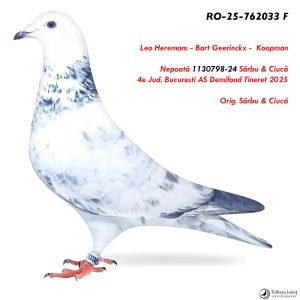 1.RO-25-762033 F ♀ Nepoată 1130798-24 Sârbu & Ciucă 4e Jud. Bucuresti AS Demifond Tineret 2025
