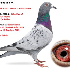 4.RO-25-863063 M ♂ Nepot 820820-22 Bălan Gabriel 3e Prahova AS Demifond  Palm. 2025 17e Prahova AS Demifond 2025