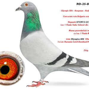 5.RO-25-864837 F ♀  Nepoată 0753912-22 Stoica Ionut  Loc 1 Finala Vadu Volovat din 560p. 2022  Linie Olympica 484  Olteanu Cosmin