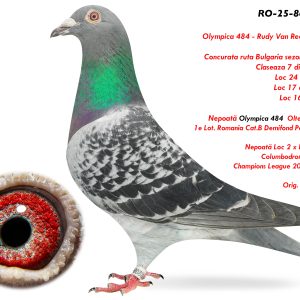 2.RO-25-864858 F ♀ Nepoată Olympica 484  Olteanu Cosmin  1e Lot. Romania Cat.B Demifond Poznan 2019 Nepoată Loc 2 x Loc 4 Finala