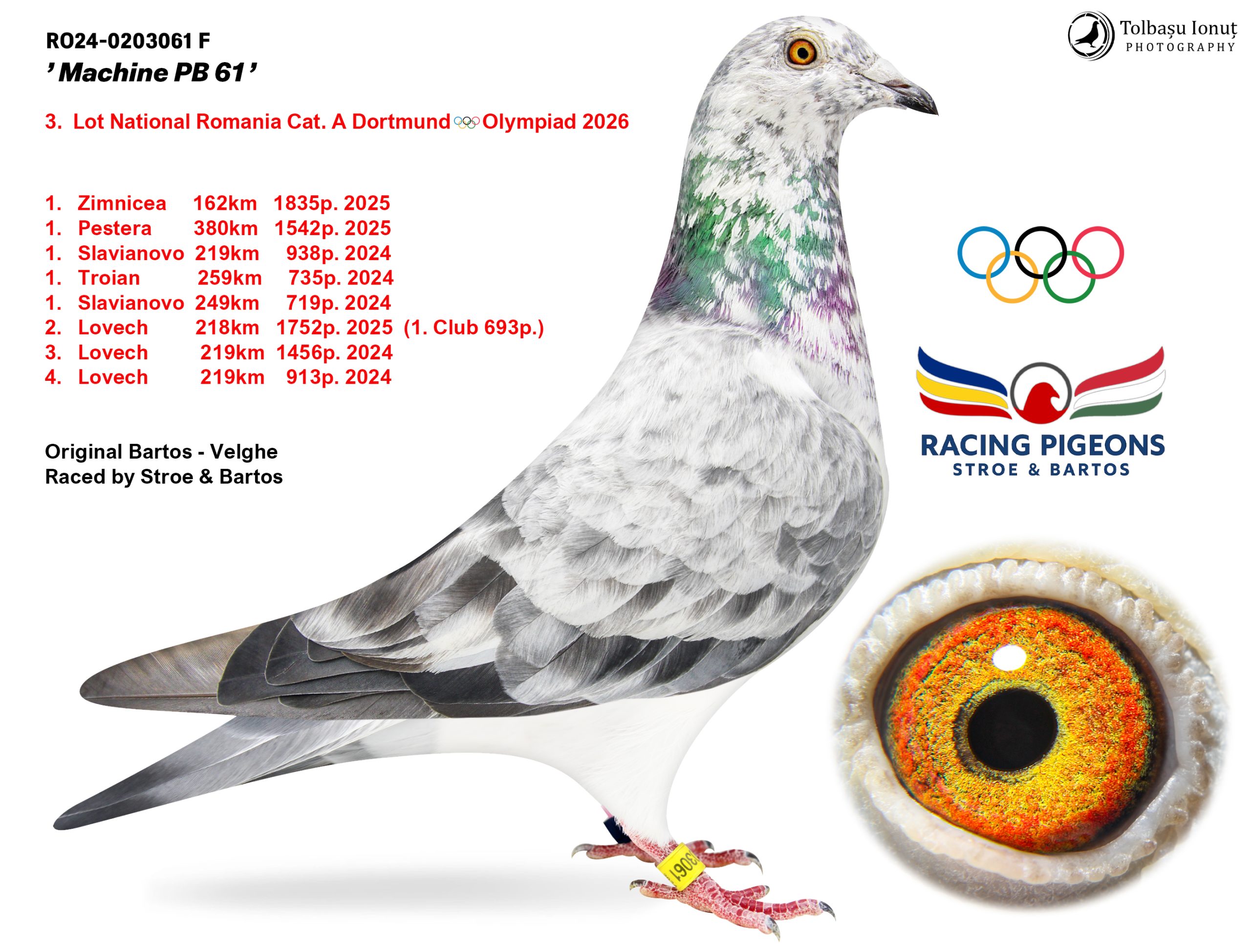 2.RO-25-343249 F ♀ Sora cu MACHINE PB 61 Stroe & Bartos Loc 3 National cat. A Olimpiada Dortmund 2026 6 x Locuri de 1 - imagine 3