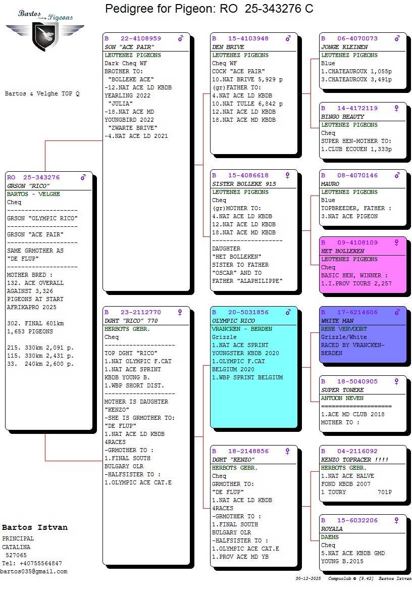 6.RO-25-343276 M ♂ Nepot OLYMPIC RICO 1st Nat Olympiad bird Olympic Cat. F KBDB 2020 Nepot PERECHEA AS al familiei Leutenez !!! - imagine 2