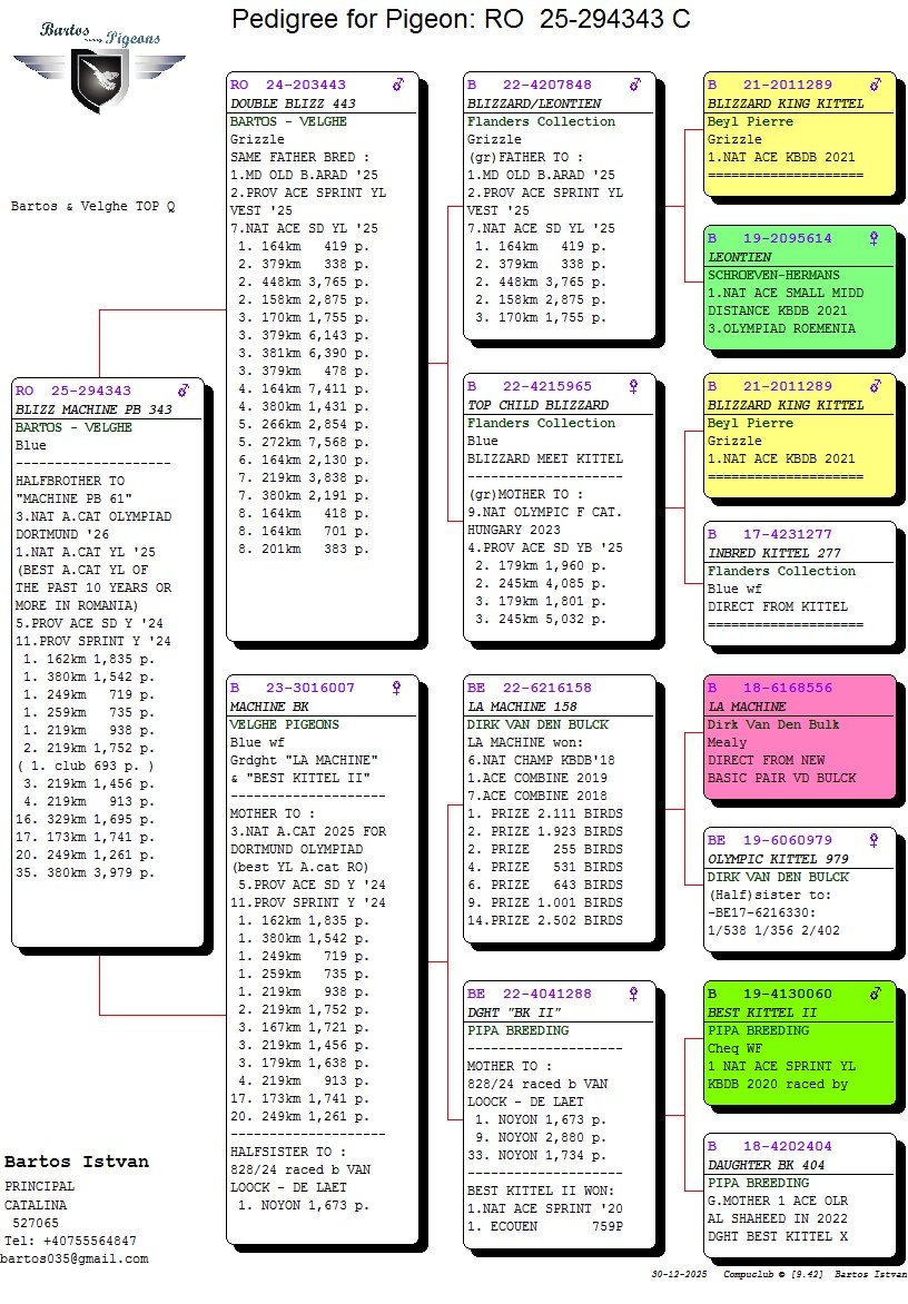 1.RO-25-294343 M ♂ Semifrate MACHINE PB 61 Stroe & Bartos Loc 3 National cat. A Olimpiada Dortmund 2026 6 x Locuri 1 - imagine 2