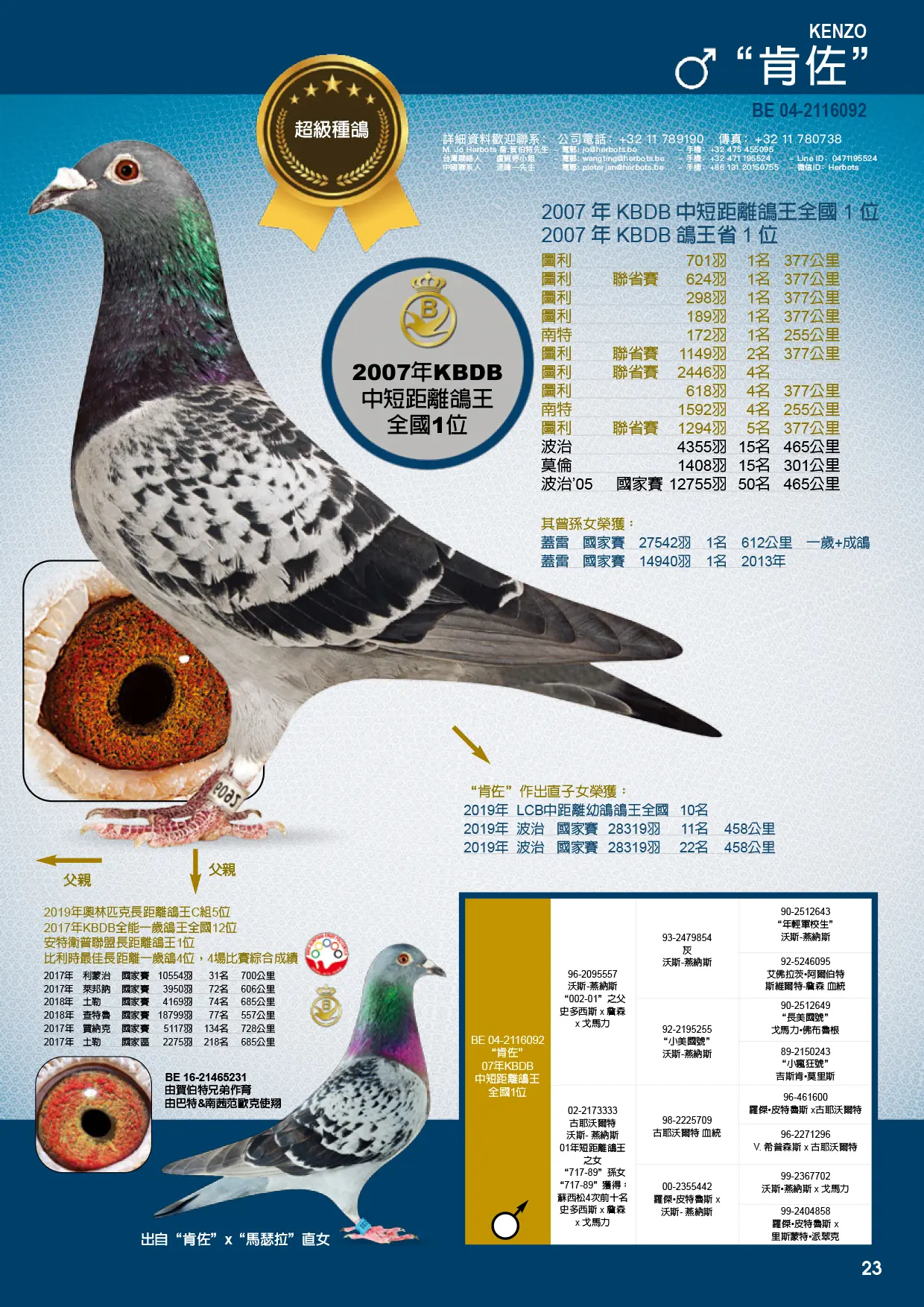 RO-25-864927 F ♀ Nepoata KENZO JR Olteanu Cosmin 1e / 2659p. 633km 2020 2e / 3854p. 618p. 2020 5e / 2552p. 703km 2018 7e / 2462p. 643km 2018 - imagine 4