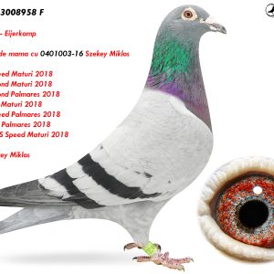 6.RO-18-3008958 F ♀ Semisoră de mama cu 0401003-16 Szekey Miklos  1e AS Speed Maturi 2018 1e Demifond Maturi 2018 1e Demifond Palmares