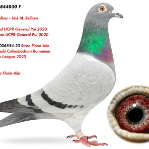 3.RO-20-844030 F ♀ 1e National UCPR General Pui 2020 1e Judetean UCPR General Pui 2020 Markus Sollner - Hok M. Reijnen