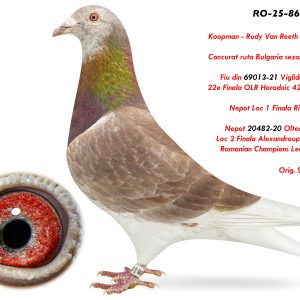 6.RO-25-864888 M ♂ Nepot 20482-20 Olteanu Cosmin  Loc 2 Finala Alexandroupolis 420km  Romanian Champions League 2020