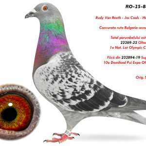 4.RO-25-864920 F ♀ Tatal porumbelului este semifrate  22269-22 Olteanu Cosmin 1e Nat. Lot Olympic Cat. D 2024 Fiică 10e Demifond Pui