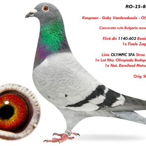 RO-25-864946 F ♀ Linie OLYMPIC SFA Stroe Florin Alin 1e Lot Nta. Olimpiada Budapesta 2015 1e Nat. Demifond Maturi 1,82pct.