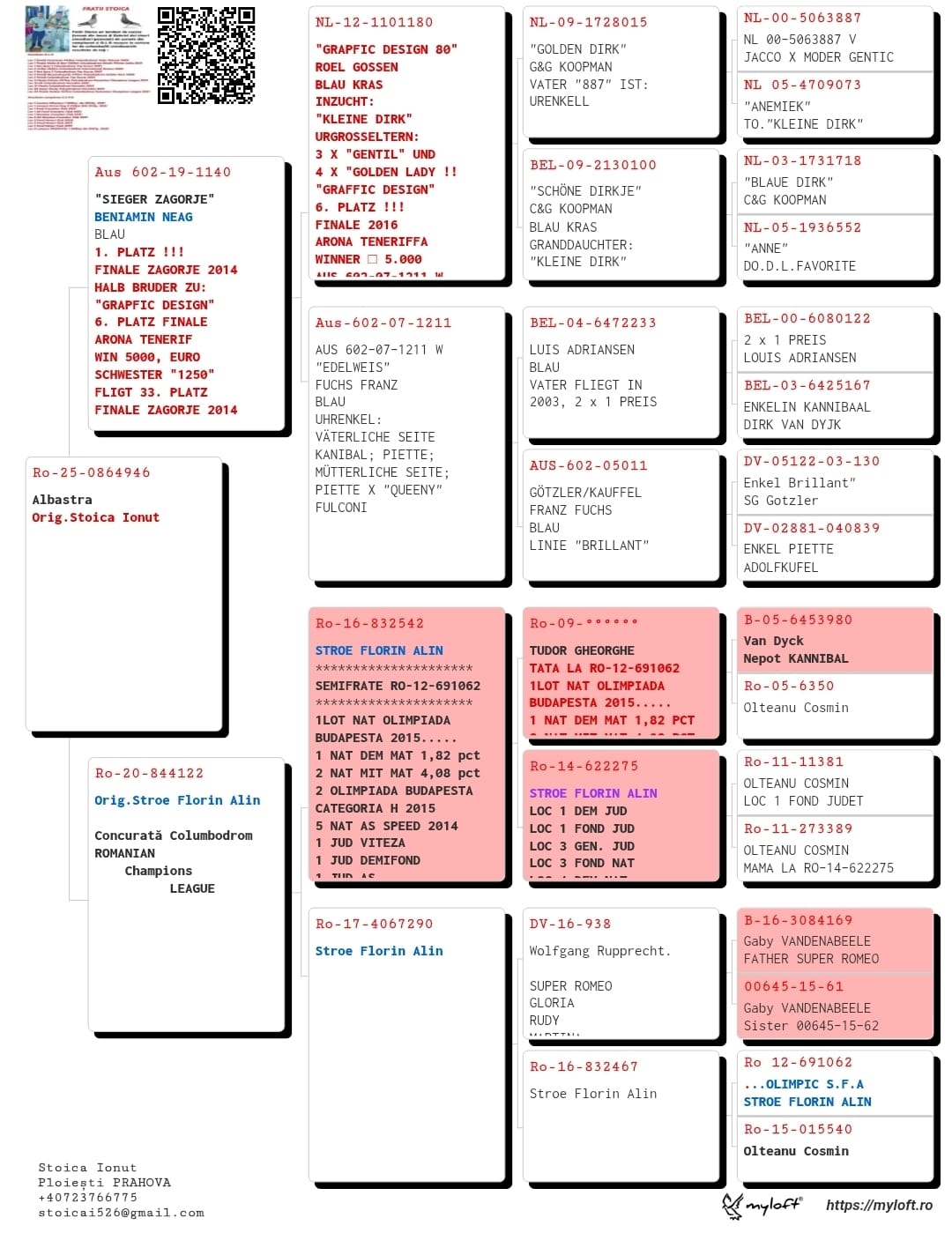 RO-25-864946 F ♀ Linie OLYMPIC SFA Stroe Florin Alin 1e Lot Nta. Olimpiada Budapesta 2015 1e Nat. Demifond Maturi 1,82pct. - imagine 2