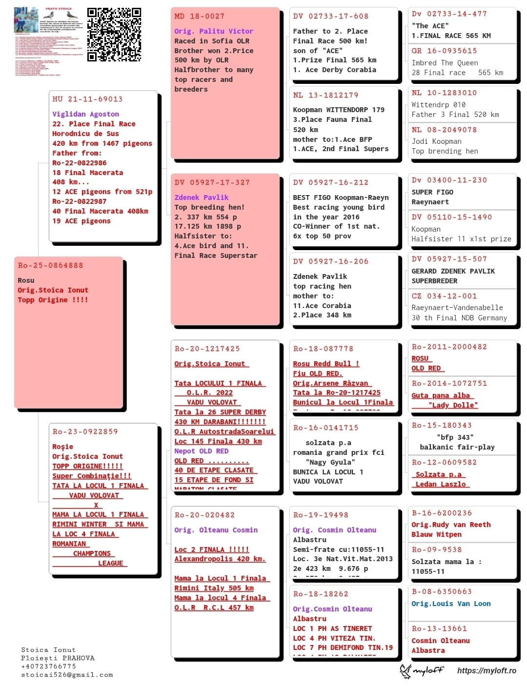 6.RO-25-864888 M ♂ Nepot 20482-20 Olteanu Cosmin Loc 2 Finala Alexandroupolis 420km Romanian Champions League 2020 - imagine 2