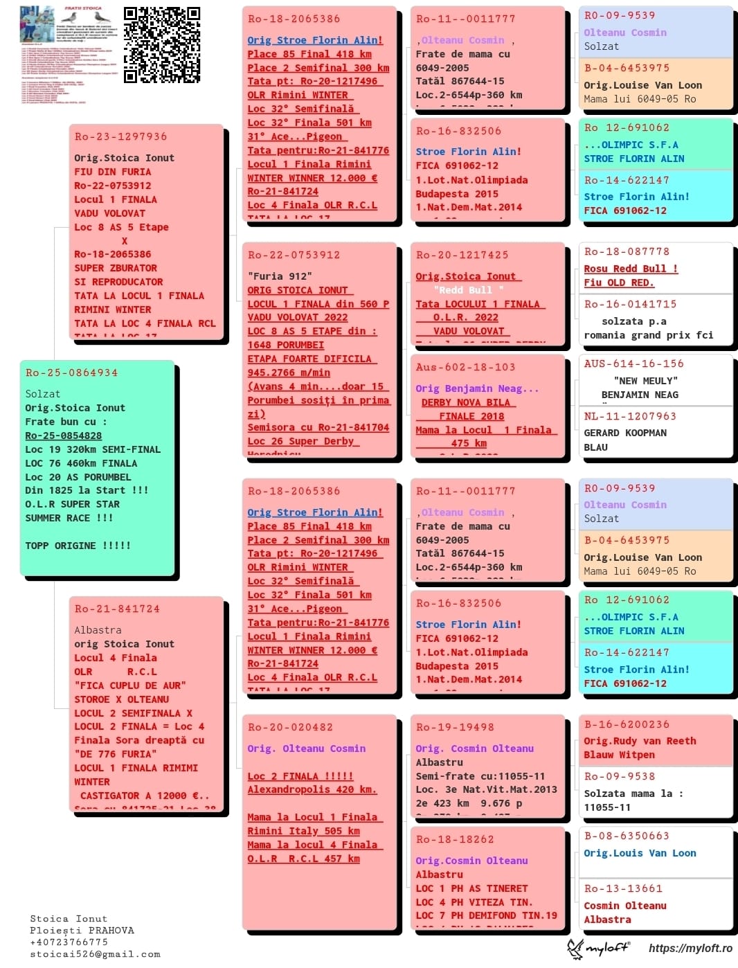 3.RO-25-864934 M ♂ Nepot 0753912-22 Stoica Ionut Loc 1 Finala Vadu Volovat din 560p. 2022 & Nepot Loc 2 Finala Alexandroupolis - imagine 2