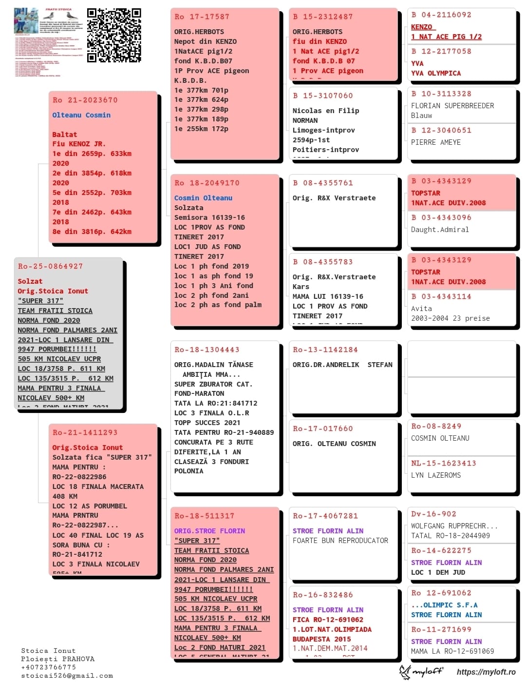 RO-25-864927 F ♀ Nepoata KENZO JR Olteanu Cosmin 1e / 2659p. 633km 2020 2e / 3854p. 618p. 2020 5e / 2552p. 703km 2018 7e / 2462p. 643km 2018 - imagine 2