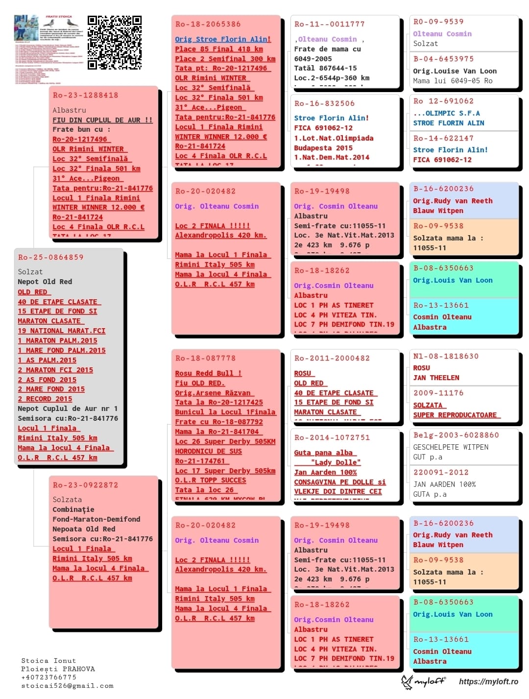 8.RO-25-864859 F ♀ Dubla Nepoata 20482-20 Olteanu Cosmin Loc 2 Finala Alexandroupolis 420km Romanian Champions League - imagine 2
