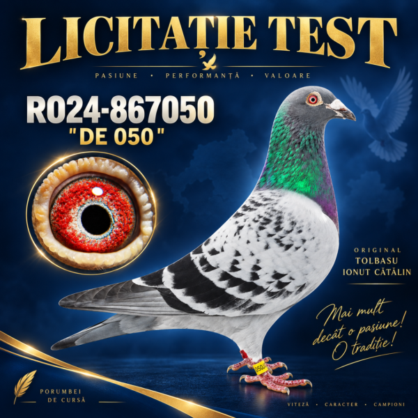 Licitație încheiată TEST site Pigeon-Speed